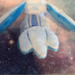[PATTERN] Carbuncle ITH Embroidery Plush 4x4", 5x7", 6x9"